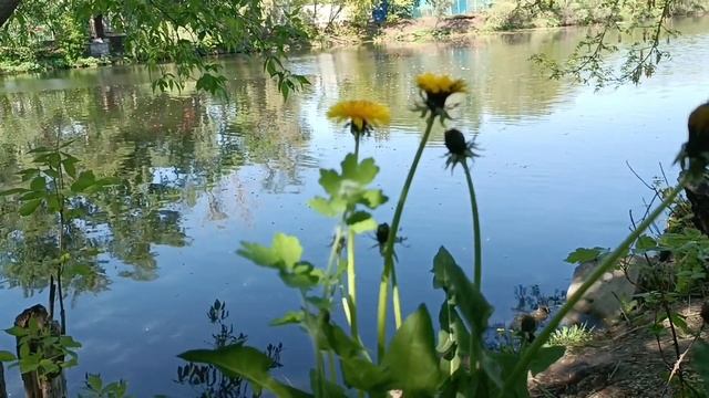 ЧТО ТАКОЕ МИР? смотреть онлайн