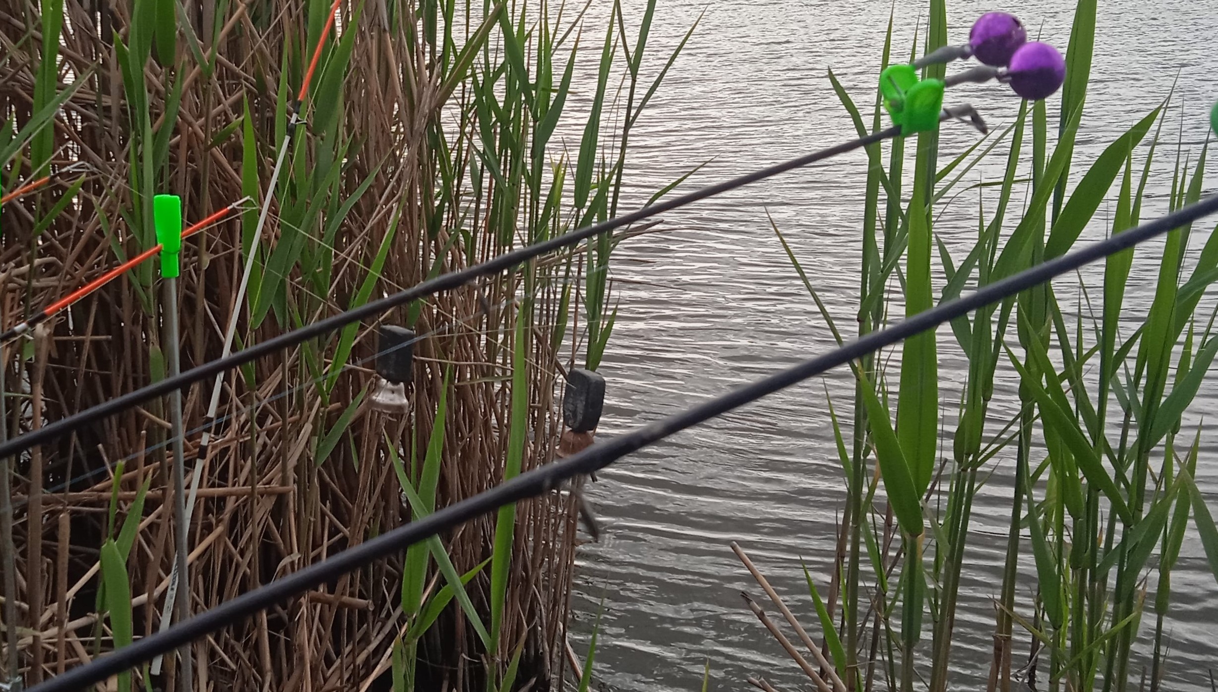 ЛОВЛЯ КАРАСЯ НА КОРМАЧКИ И МАКУШАТНИКИ. БЕШЕННЫЙ КЛЕВ КАРАСЯ. ДУБИНИМ НА КРОКОДИЛЫ С БУБЕНЦАМИ) смотреть онлайн