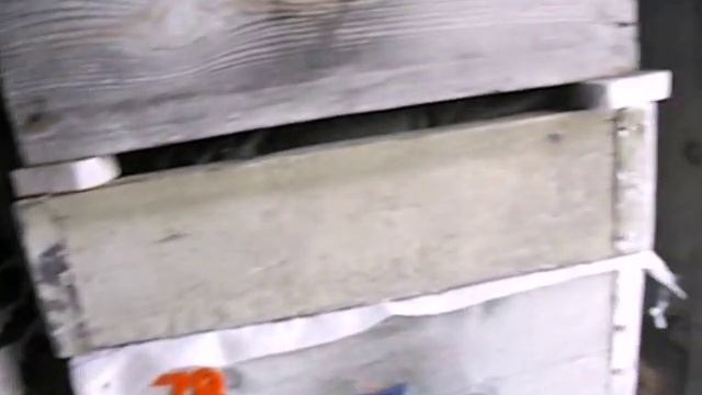 пчелы в зимовнике в феврале - как контролировать зимовку пчел смотреть онлайн