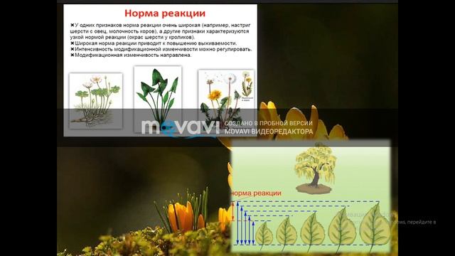 АГТУ лекция. Карапун М.Ю. Основы естественных наук для социально-экономического профиля. 17.04.2020 смотреть онлайн