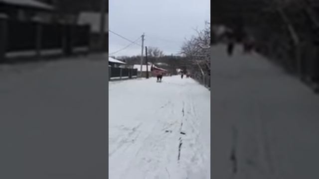 Багги 1/5 масштаб ДВС смотреть онлайн