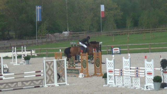 KANDINA VH AVENHOF 5 JARIGE LIER 2015 смотреть онлайн