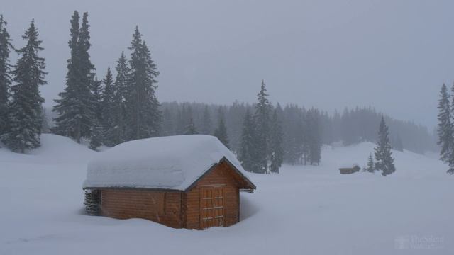 4K Snowfall II - Аlpine Snow - Relaxing Snowing Winter Video - Ultra HD - 2160p