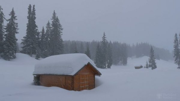 4K Snowfall II - Аlpine Snow - Relaxing Snowing Winter Video - Ultra HD - 2160p