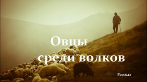 Овцы среди волков.. (рассказ)