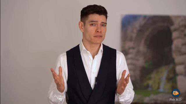 Doctor Explains: Your Brain On STEROIDS?! | Magnesium Threonate | Dr. Michael Hoffmann | смотреть онлайн