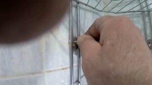 Навешиваем угловую полку в ванную комнату на кафель без вызова специалиста.