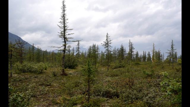 Озеро Лама Южный Нералах часть 4 фото