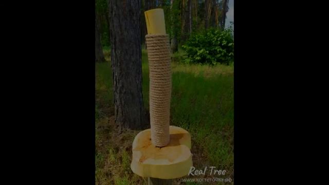 Когтеточка из ствола дерева "Real Tree - белая осина" смотреть онлайн