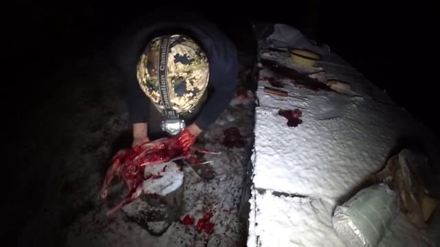 +18 Охота на зайца в Якутии Yakutia