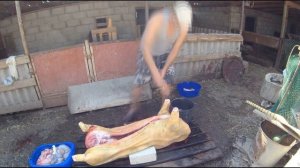 Разделка туши свиньи.