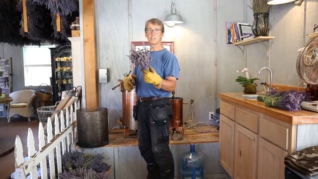 Lavender Documentary Film - Learn to Grow, Harvest, Propagate, and Distill Lavender Essential Oil смотреть онлайн