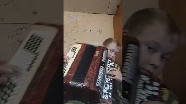 КИШ лесник \ первое видео смотреть онлайн
