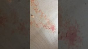 Поролон приклеить к поролону  -  решение