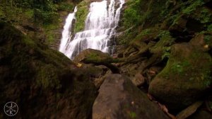 Тестовое видео для оценки цветопередачи 1920x1080 50fps
