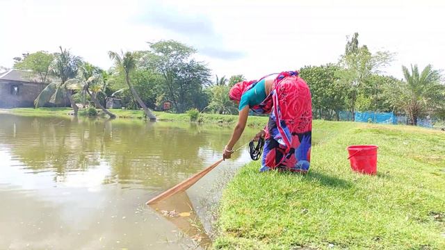 Amazing Fishing by Net | Cast Net Fishing in Big Shrimp Fish(Part-5) смотреть онлайн