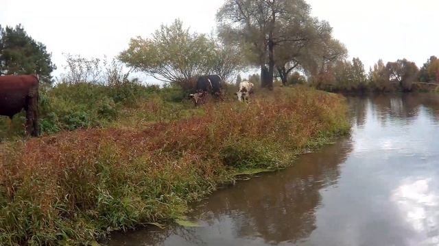 Сплав по Клязьме от истока. Часть 10.4. Ногинск - Павловский Посад(Мост у Ленингр. п.ка-Павл. Посад смотреть онлайн