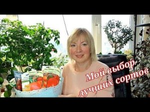 Готовлю семена к посеву.Какие томаты посажу в 2024. Выбираю лучшие проверенные сорта и новинки.