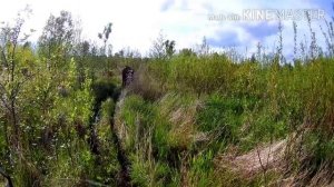 Avantis fx 250 lux и ALPHA VR 11. Поездка на рыбалку ? #Alpha