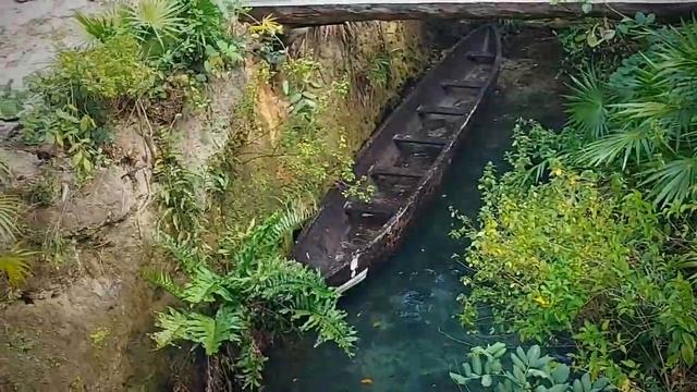 Мексика. Парк Xcaret. Часть1 смотреть онлайн