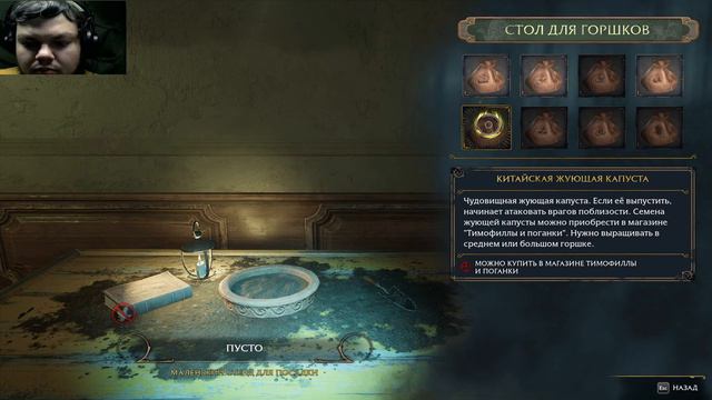 Hogwarts Legacy-Первое испытание(Стрим №5) смотреть онлайн