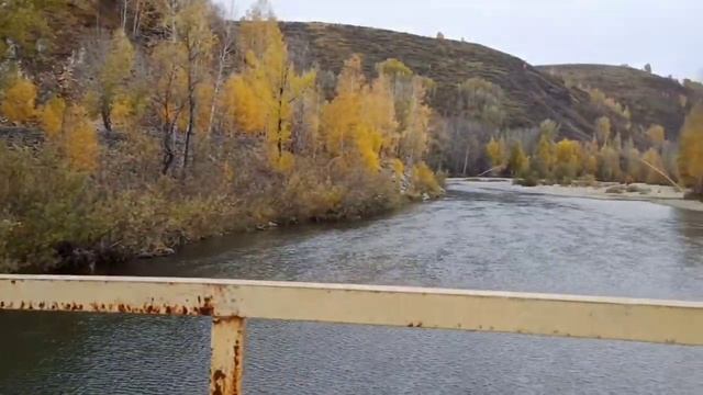 Природа Восточного Казахстана / nature of Kazakhstan/р Хамир смотреть онлайн