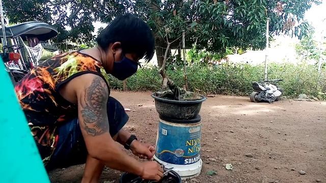 Bonsai Beginner/Duhat tree/Java plum смотреть онлайн