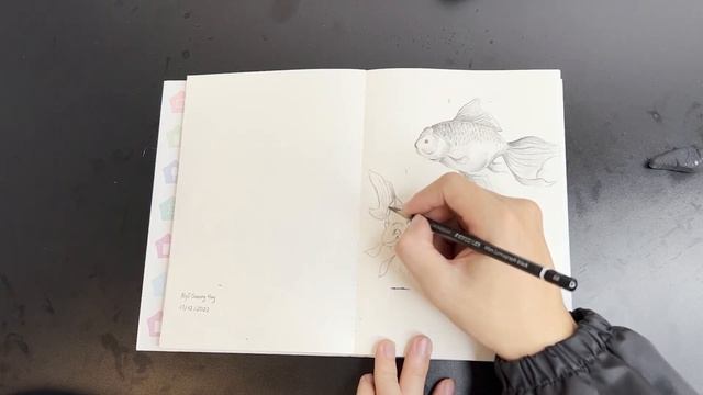 How to draw like a pro in just 10 minutes a day! смотреть онлайн