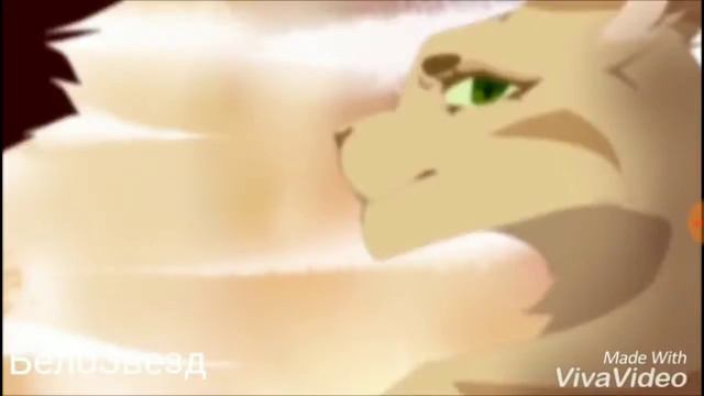 Коты Воители-"Психушка" смотреть онлайн