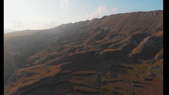 Как жить без стресса? Nikosho