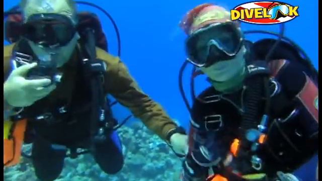 Люби меня нежно! смотреть онлайн