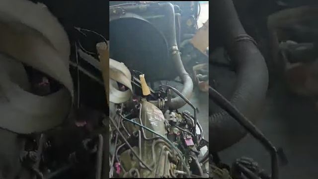 Контрактный Двигатель MAZDA TITAN SY56L 2001 WL (464168) YM8568 4WD ТНВД EFI смотреть онлайн