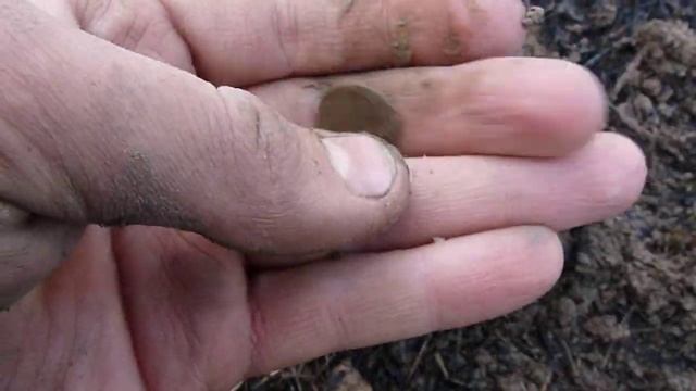 Пол копейки ссср смотреть онлайн