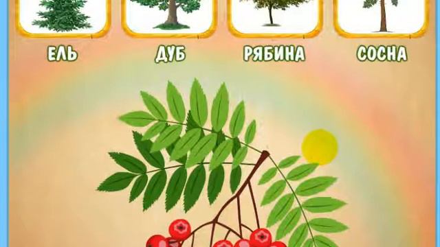 Деревья изучаем с Айселькой смотреть онлайн