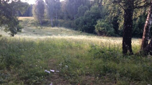 Вызвали дух Балди!Он пришёл!!! смотреть онлайн