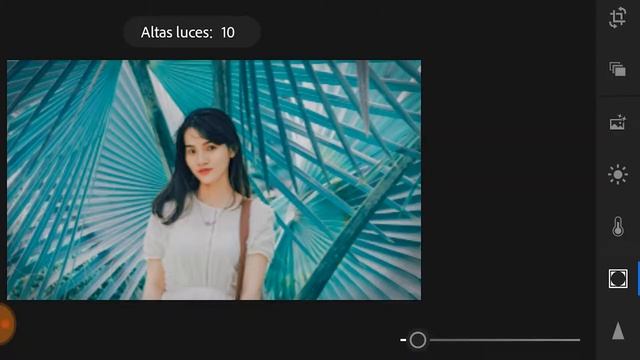 Tutorial Adobe Photoshop Lightroom 2019 | Desde el celular смотреть онлайн