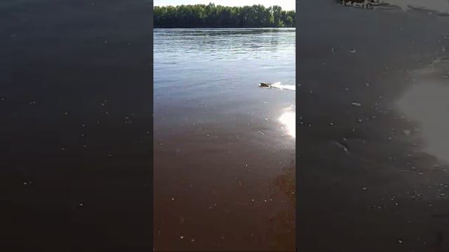 рыбалка на реке Оке смотреть онлайн