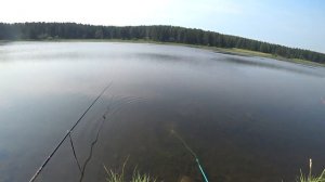 ОКУНЬ НА МАЛЬКА НА ПОПЛАВОЧНУЮ УДОЧКУ! РЫБАЛКА ПО ХИЩНИКУ С МОЛЯВНИЦЕЙ!