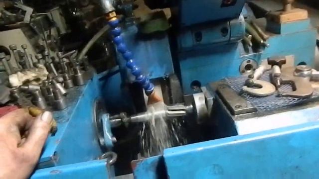 №134 Как у спаниеля хвост смотреть онлайн