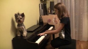 И.С. Бах. Маленькая прелюдия No.5 ре-минор