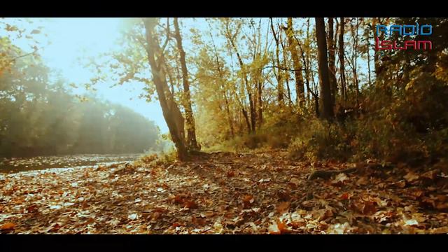 Sallah Alaika Allahu Ya Adnani | Qari Huzaifah Essack