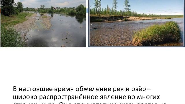 Рациональное использование и охрана лесов смотреть онлайн