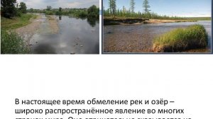 Рациональное использование и охрана лесов