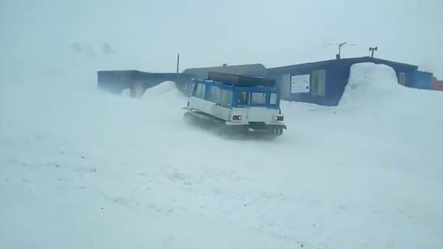 Охара 31 модель. Ohara SM31.