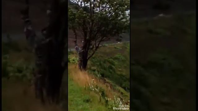 Сахалин Холмск перевал