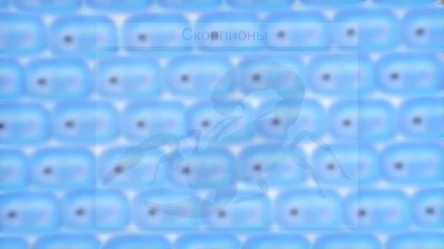 Хелицеровые Паукообразные Видеоурок по биологии 7 класс смотреть онлайн