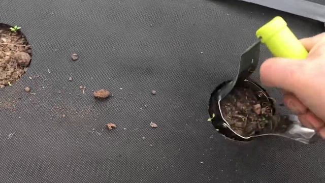 Шикарные инструменты для посадки рассады в грунт