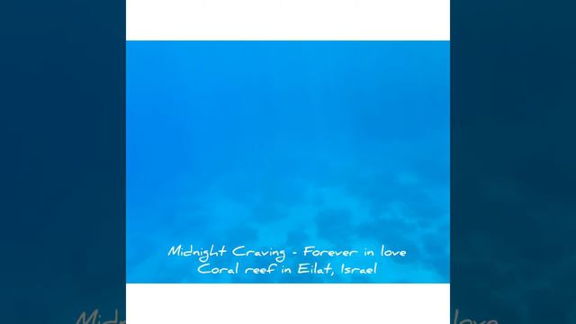 Midnight Craving - Forever in love (Coral reef in Eilat, Israel) смотреть онлайн