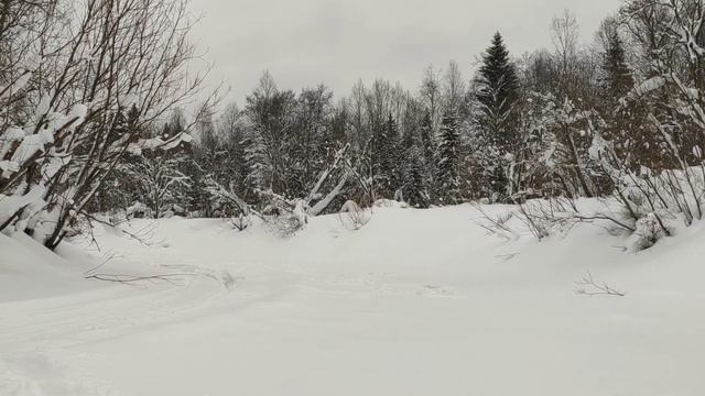 Рыбалка выходного дня на маленькой таежной речке 01.02.2020 смотреть онлайн