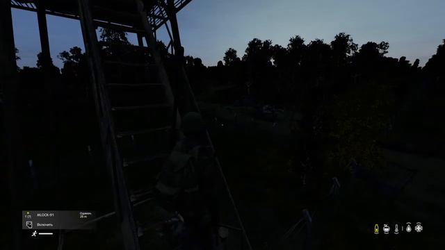 DayZ Ps4 ,баги игры атакуют меня